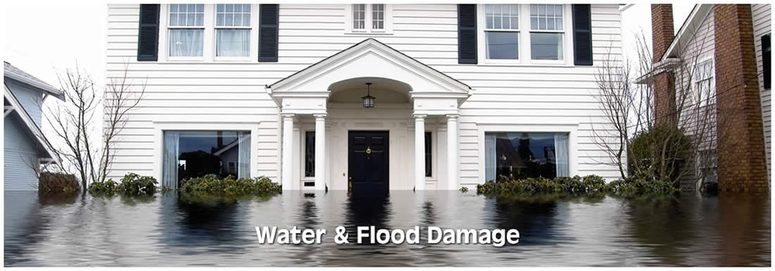 Water and Flood Damage Services